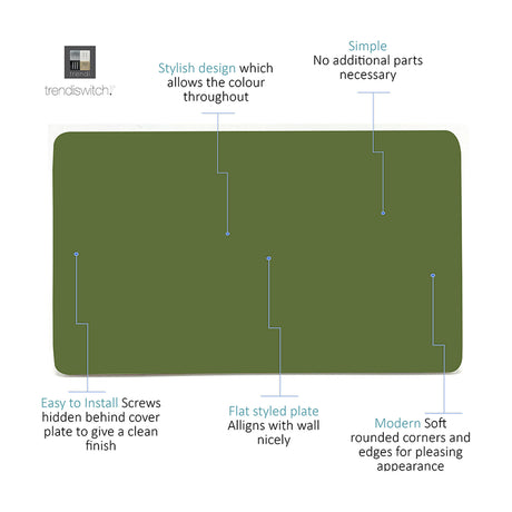Double Blanking Plate in moss green polycarbonate, screwless 2-gang design with flat, rounded-corner finish, shown with feature callouts on a white background.