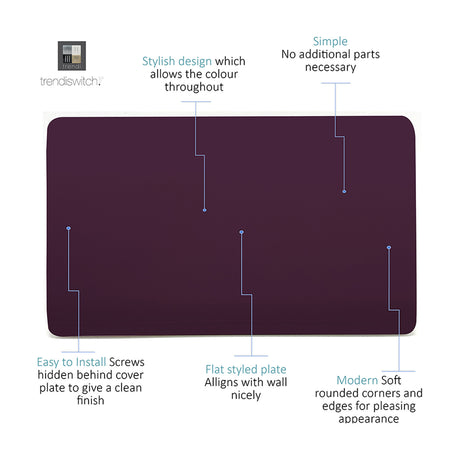 Double Blanking Plate in Plum, a screwless double-gang polycarbonate cover with a flat, unbroken deep purple face and rounded edges, shown on a white background with feature callouts.