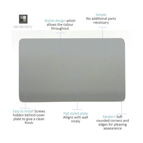 Double Blanking Plate in Platinum Silver, a screwless two-gang cover plate with rounded corners and a flat polycarbonate finish, shown against a plain white background.