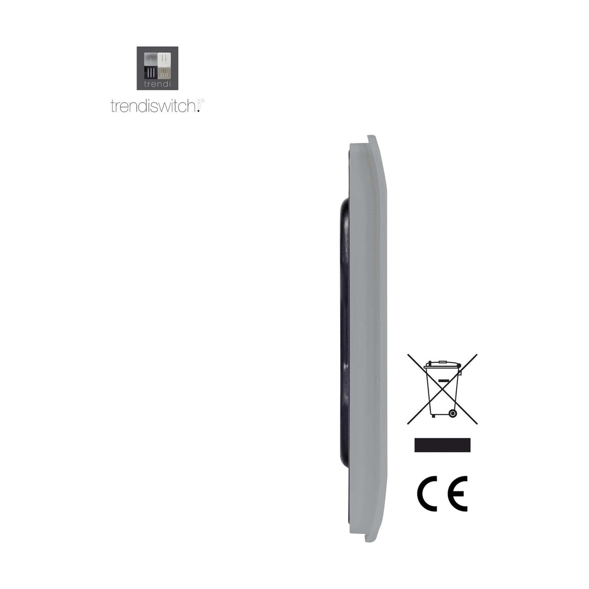 Side profile of the Double Blanking Plate in platinum silver, showing a slim screwless polycarbonate cover with squared edges, alongside CE and WEEE compliance icons on a white background.