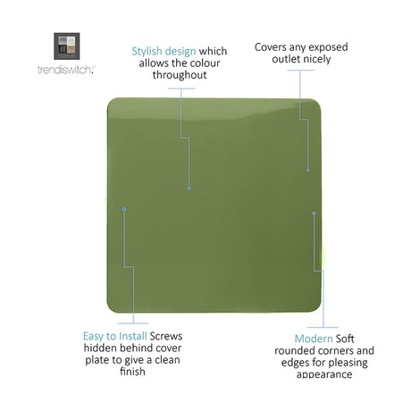 Single blanking plate in moss green, screwless 1-gang polycarbonate cover with rounded corners, shown with feature callouts on a white background.
