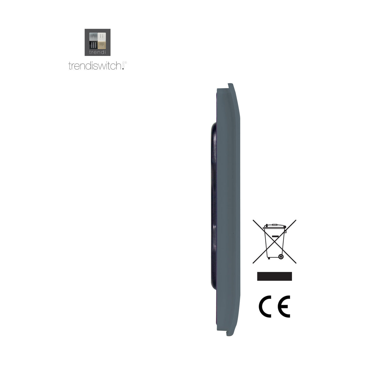 Side profile of a Single Blanking Plate in warm grey, showing a flat, screwless 1-gang cover plate with slim edge profile, plus CE and WEEE recycling symbols on a white background.