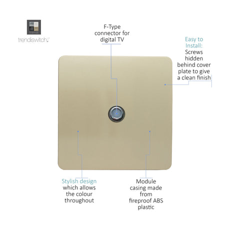1 Gang Satellite Outlet in champagne gold, square screwless plate with central F-type connector, labelled diagram showing design features on a white background.