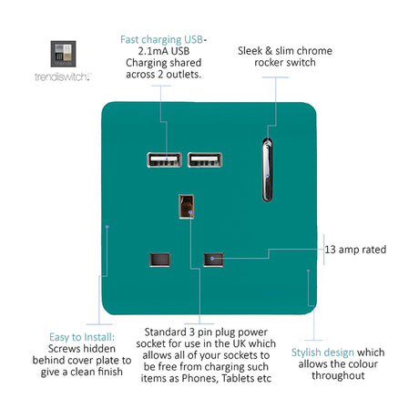Bright teal 1 gang 13A socket with screwless plate, chrome rocker switch, neon indicator, and two USB-A charging ports, shown with feature callouts on white background.