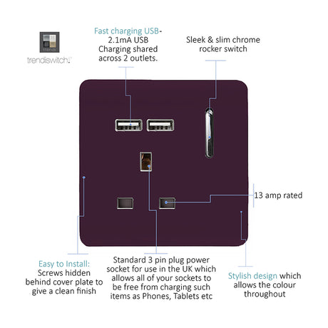 Plum 1 gang 13A switched socket with screwless plate, chrome rocker switch, two USB-A charging ports, and neon indicator, shown with feature callouts.