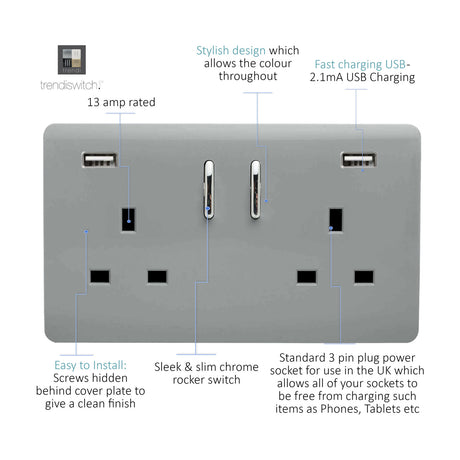 Platinum silver 2 gang double 13A socket with chrome rocker switches and two USB-A charging ports, screwless plate, labelled diagram on white background.