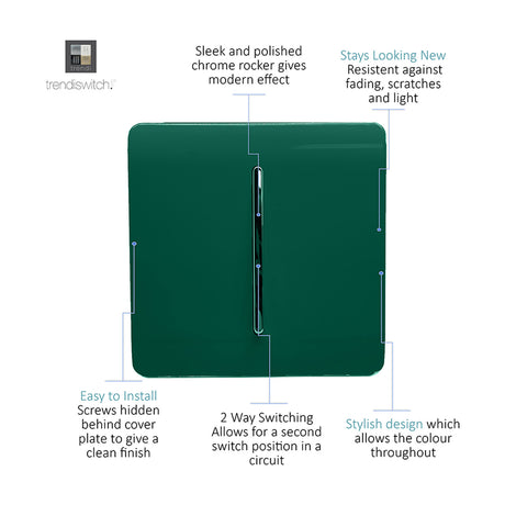 1 Gang 2 Way Light Switch in dark green with a screwless faceplate and chrome rocker, shown on a plain white background.