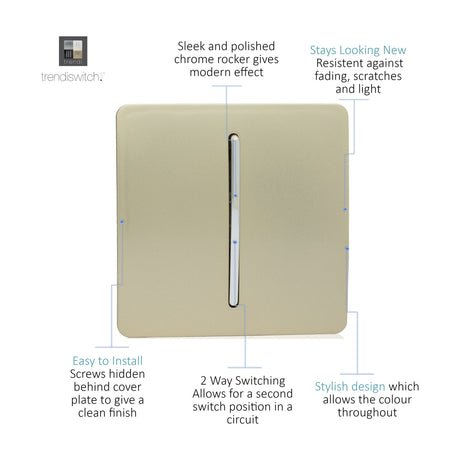 1 Gang 2 Way Light Switch in champagne gold with screwless flat plate and chrome rocker, shown on a plain white background with labelled feature callouts.