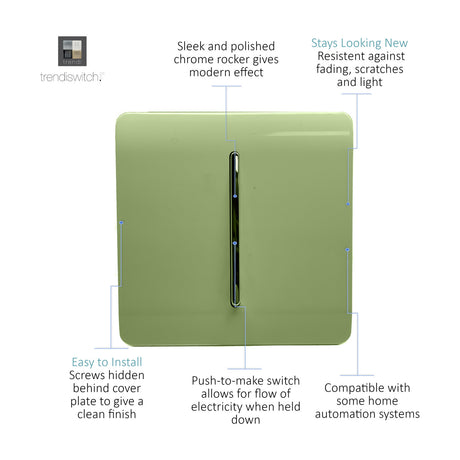 1 Gang Retractive Light Switch in moss green with a chrome rocker, screwless square plate, shown with feature callouts on a white background.