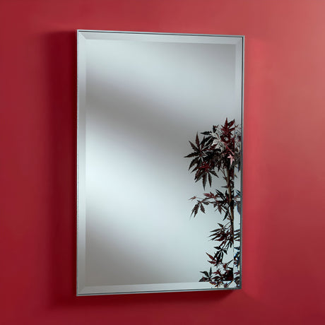 The Arden Rectangle Wall Mirror - Silver is mounted on a red wall, displaying the outline of a plant with pointed leaves on its right. The plant’s shadow forms an artistic contrast against the sleek mirror surface, highlighting a modern design aesthetic.