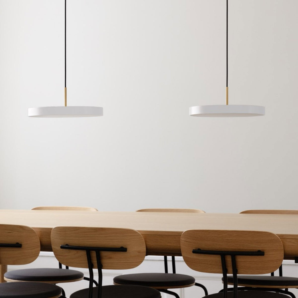 2566 in-situ 3