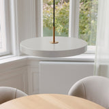 2566 in-situ 5