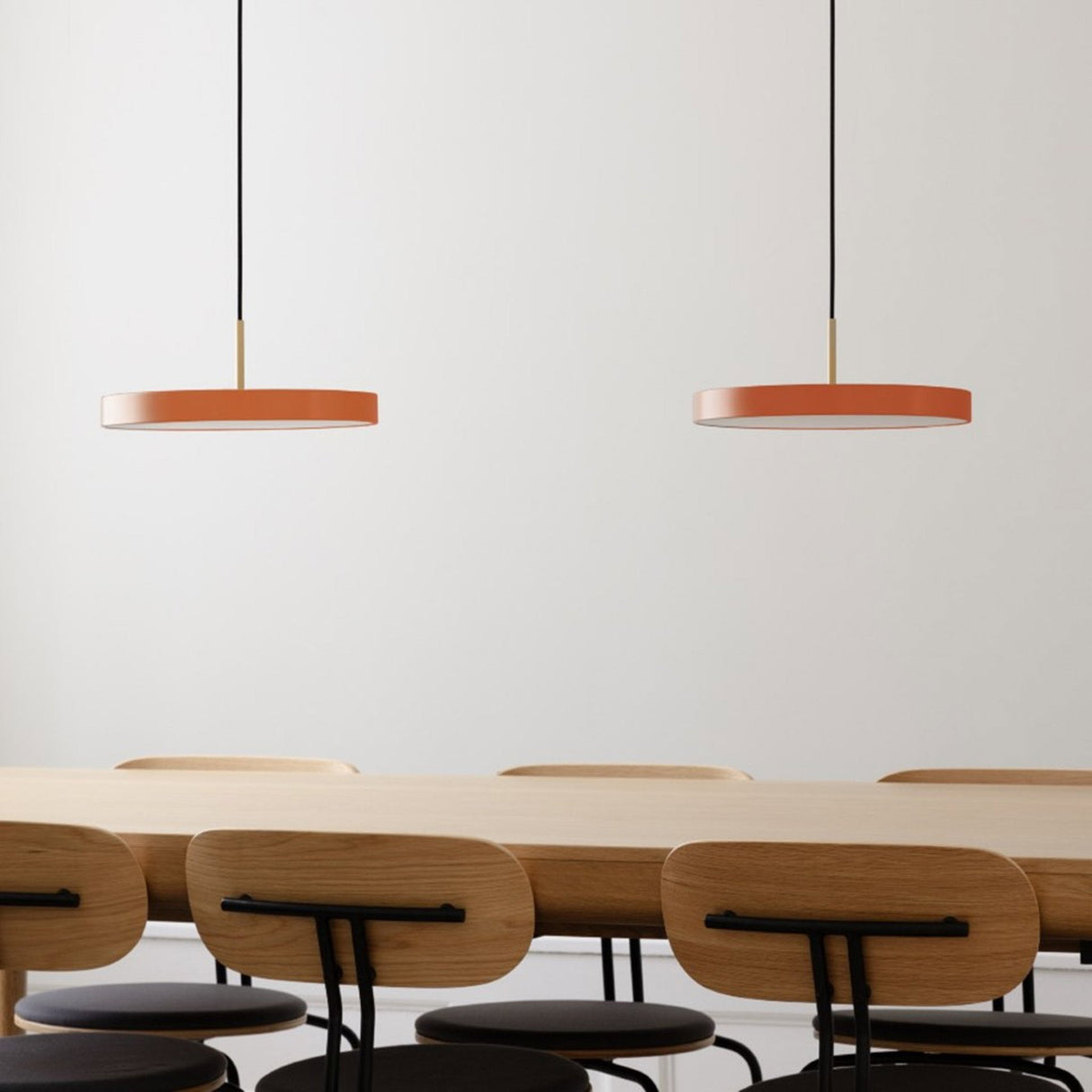 2569 in-situ 4