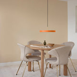 2569 in-situ 5
