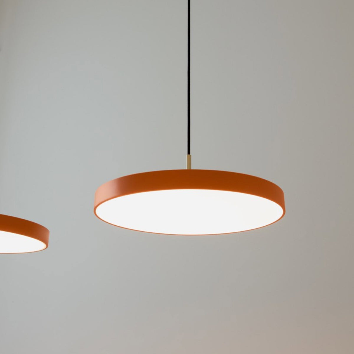 2569 in-situ 6