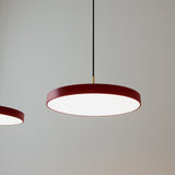 2563 in-situ 7