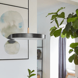 2289 in-situ 2