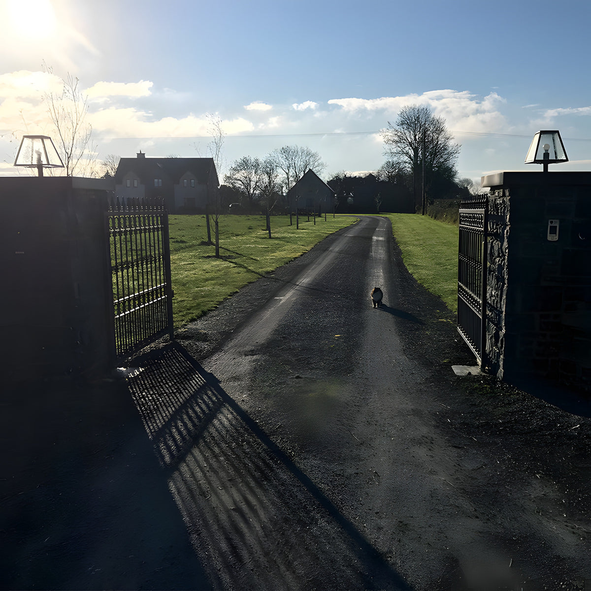 Small Contemporary Galvanised Steel Pillar Light in black, mounted atop a gate pier, shown in a driveway setting with gates, lawn and trees.