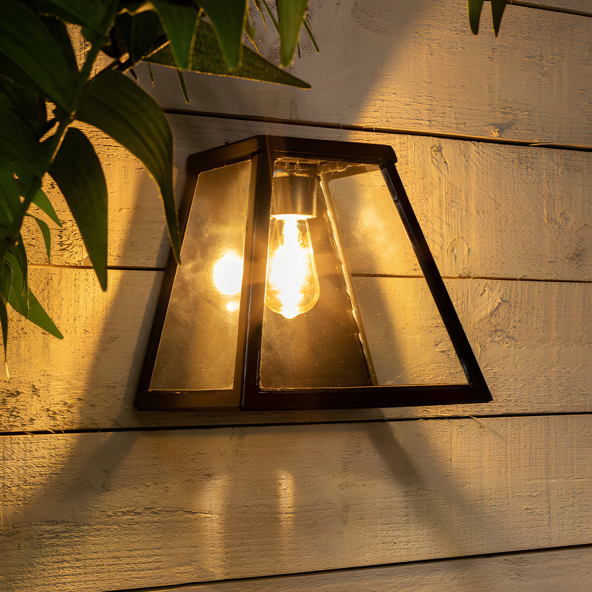 Contemporary Galvanised Steel Bulkhead Wall Light in black, tapered glass panels with visible filament bulb, mounted on a wooden wall beside foliage.