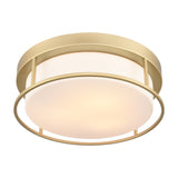 Blaine 3 light ceiling light