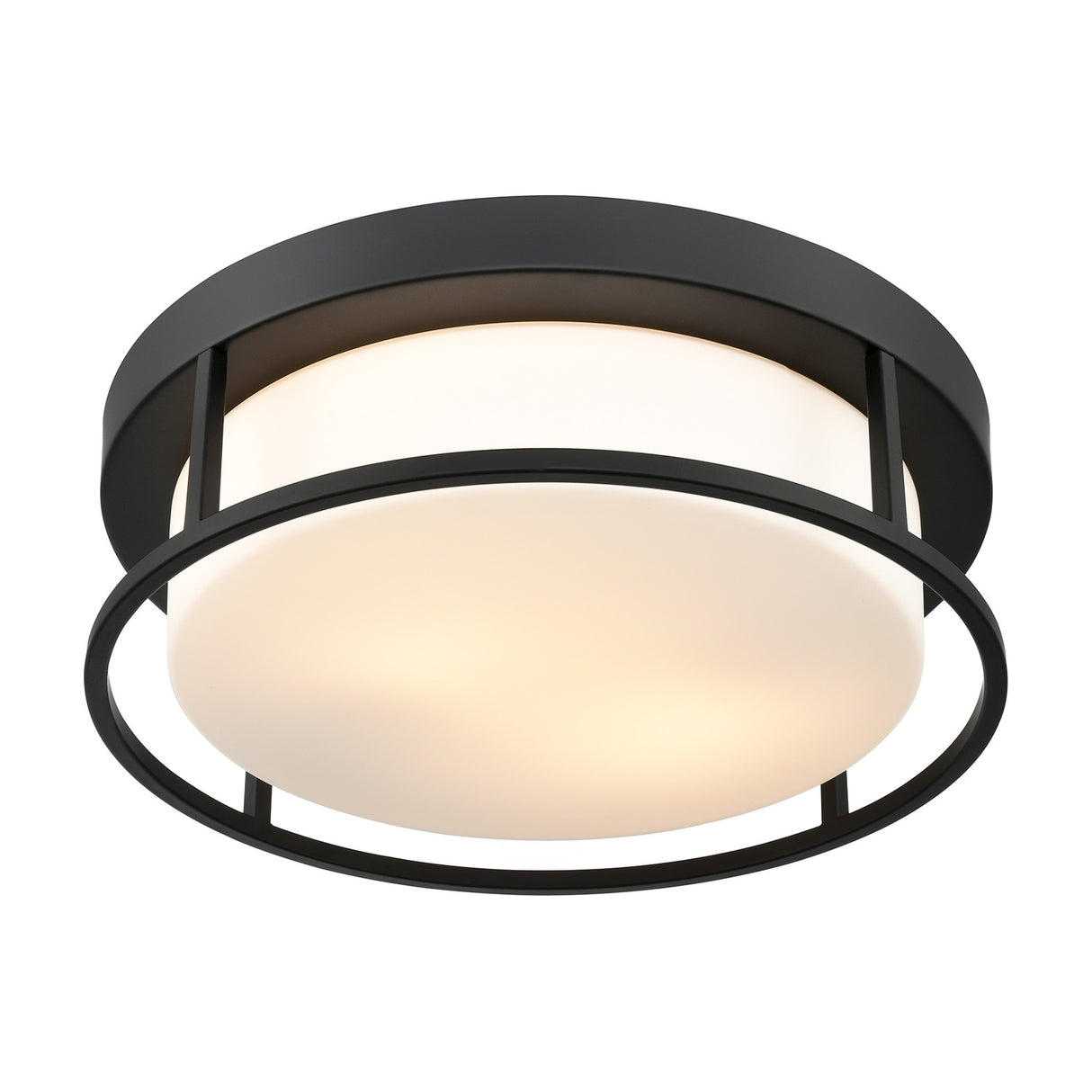 Blaine 2 light ceiling light