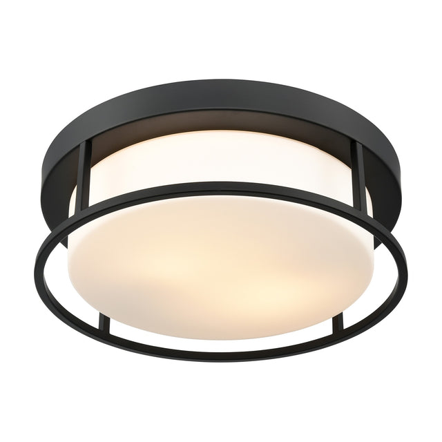 Blaine 2 light ceiling light