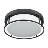 Blaine 3 light ceiling light