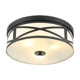 Ringo 3 light ceiling light