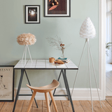 2019 in-situ 5