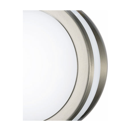 Close-up of the Aldo IP44 round outdoor wall light, 14cm, showing its stainless steel rim and opal white diffuser against a plain background.