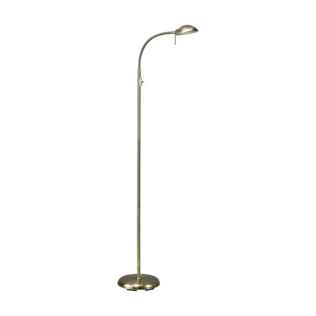 Antique brass G9 floor lamp with a slim adjustable stem, curved gooseneck head, round dome shade, toggle switch, and circular base on a plain white background.