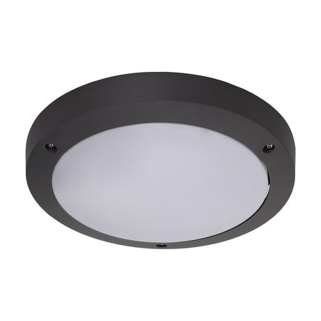 Daru round bulkhead outdoor wall light, 27cm, anthracite finish with plain opal white diffuser and visible fixing screws, E27 fitting, IP54, on a plain white background.