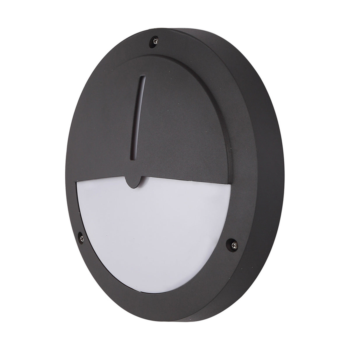 Daru IP54 Eyelid Outdoor Wall Light 27cm - Anthracite
