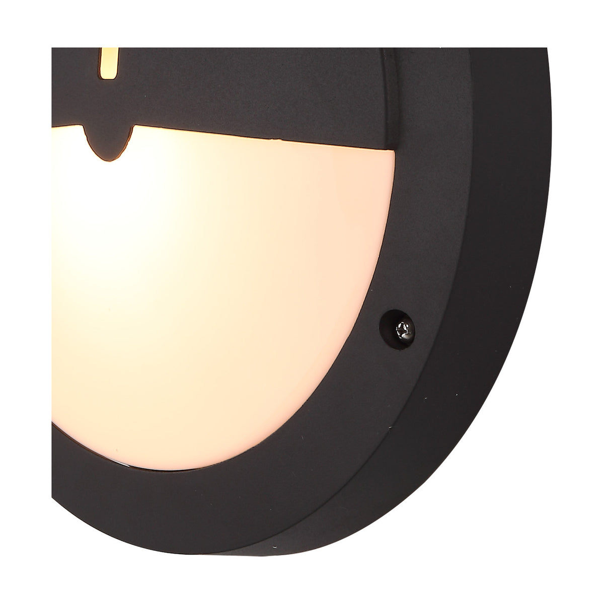 Daru IP54 Eyelid Outdoor Wall Light 27cm - Anthracite