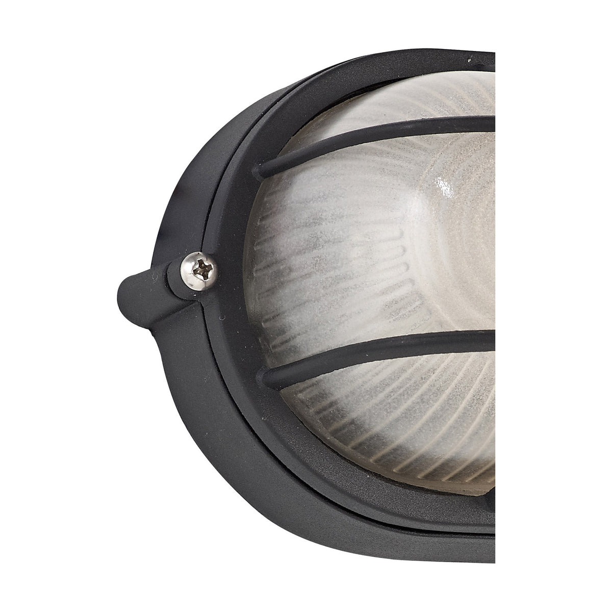 Close-up of the Avon IP44 oval outdoor wall light in black, showing the frosted glass diffuser, cage-style guard and fixing screw against a white background.