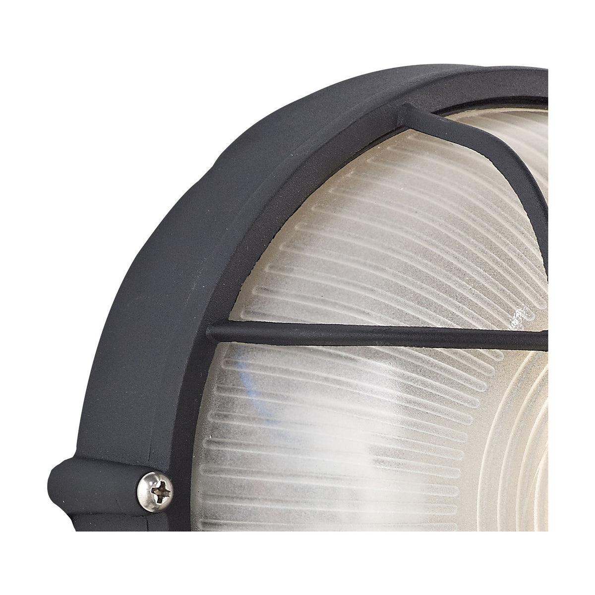 Close-up of the Avon IP44 round outdoor wall light in black, showing the ribbed frosted glass diffuser, cage-style guard, and mounting screw, on a plain white background.