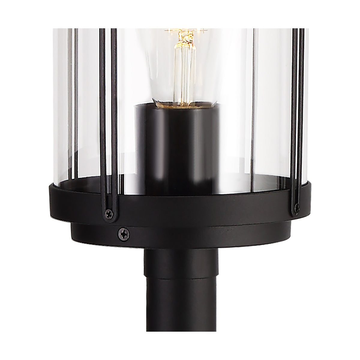 Close-up of the Reva IP44 E27 lamp post head in black aluminium with a clear polycarbonate cylindrical diffuser, vertical wire cage detail, and visible E27 bulb, on a white background.