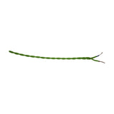 Cavo Twisted Cable 5.3mm Dia 1m Drop - Green