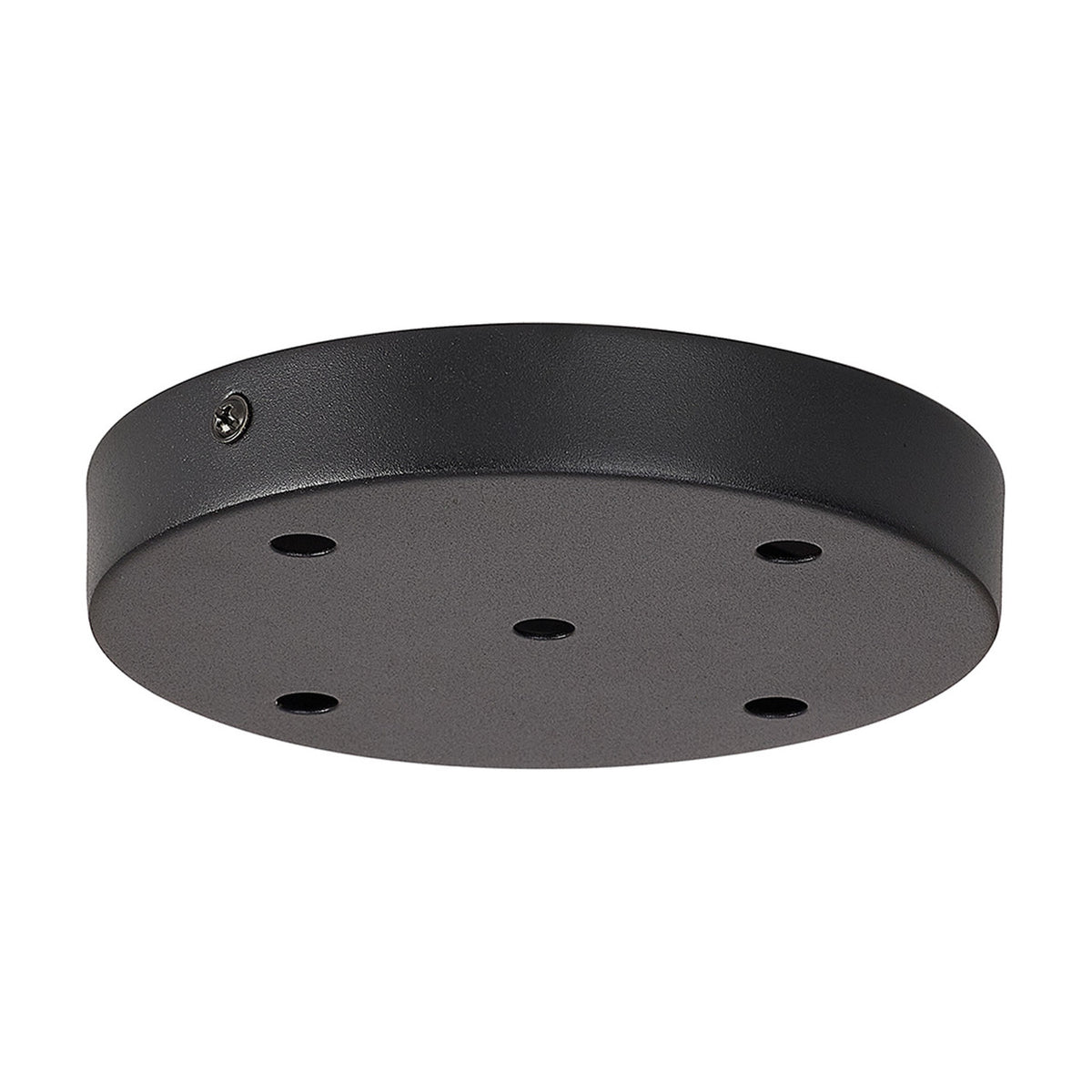 Hayes Round Ceiling Rose 15cm - Satin Black