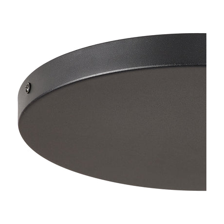 Close-up of the Hayes Round No-Hole Ceiling Rose 28cm in satin black, showing its shallow domed profile, unbroken face, and visible fixing screw on a plain white background.