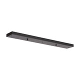 Hayes Linear Ceiling Rose 70cm Long - Satin Black