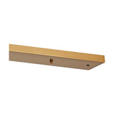 Hayes Linear Ceiling Rose 70cm Long - Brass