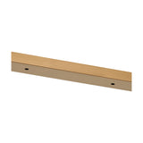 Hayes Linear Ceiling Rose 90cm Long - Brass