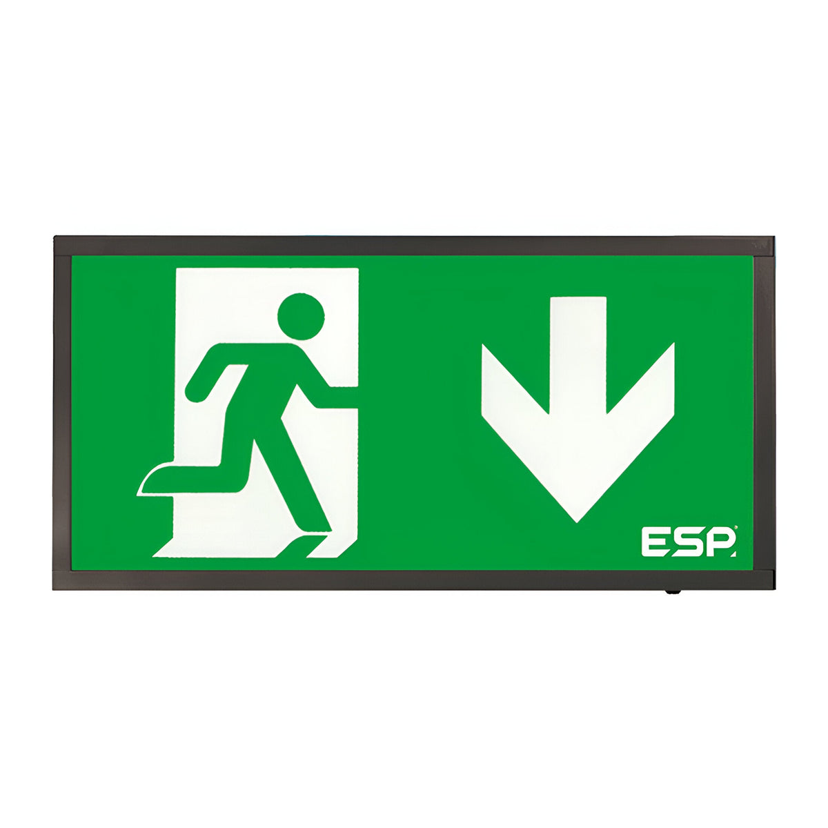 ESP Duceri 3W LED Emergency Exit Sign Down Arrow | Niori