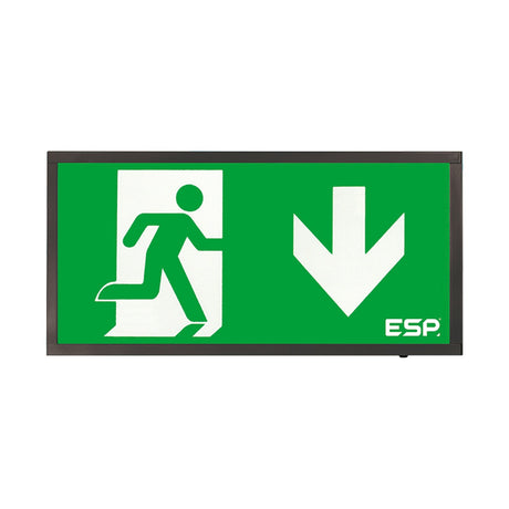 ESP Duceri emergency surface exit box with black frame, green down-arrow legend and running man symbol, shown on a plain white background.