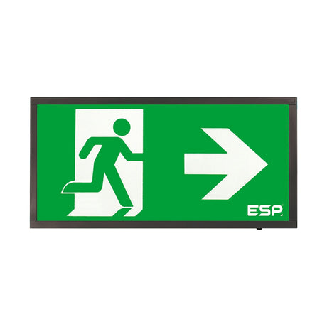 ESP Duceri emergency exit box with black frame, green LED panel showing running figure and right-pointing arrow, on plain white background.