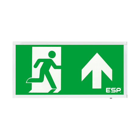 ESP Duceri surface mounted emergency exit box with running figure and up arrow legend on a green panel in a white frame.