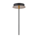 Lori Single Pendant Light, 12cm ceiling canopy in black with an antique gold pleated disc and brass detailing, shown on a black rod against a plain white background.