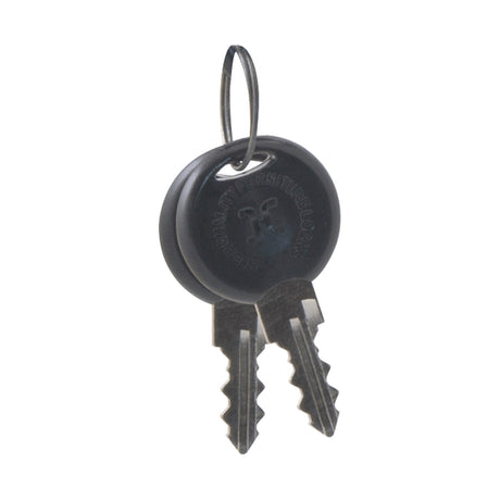 ESP DOCBOX spare keys pack of two with black round plastic head fobs on a metal split ring, shown on a plain white background.