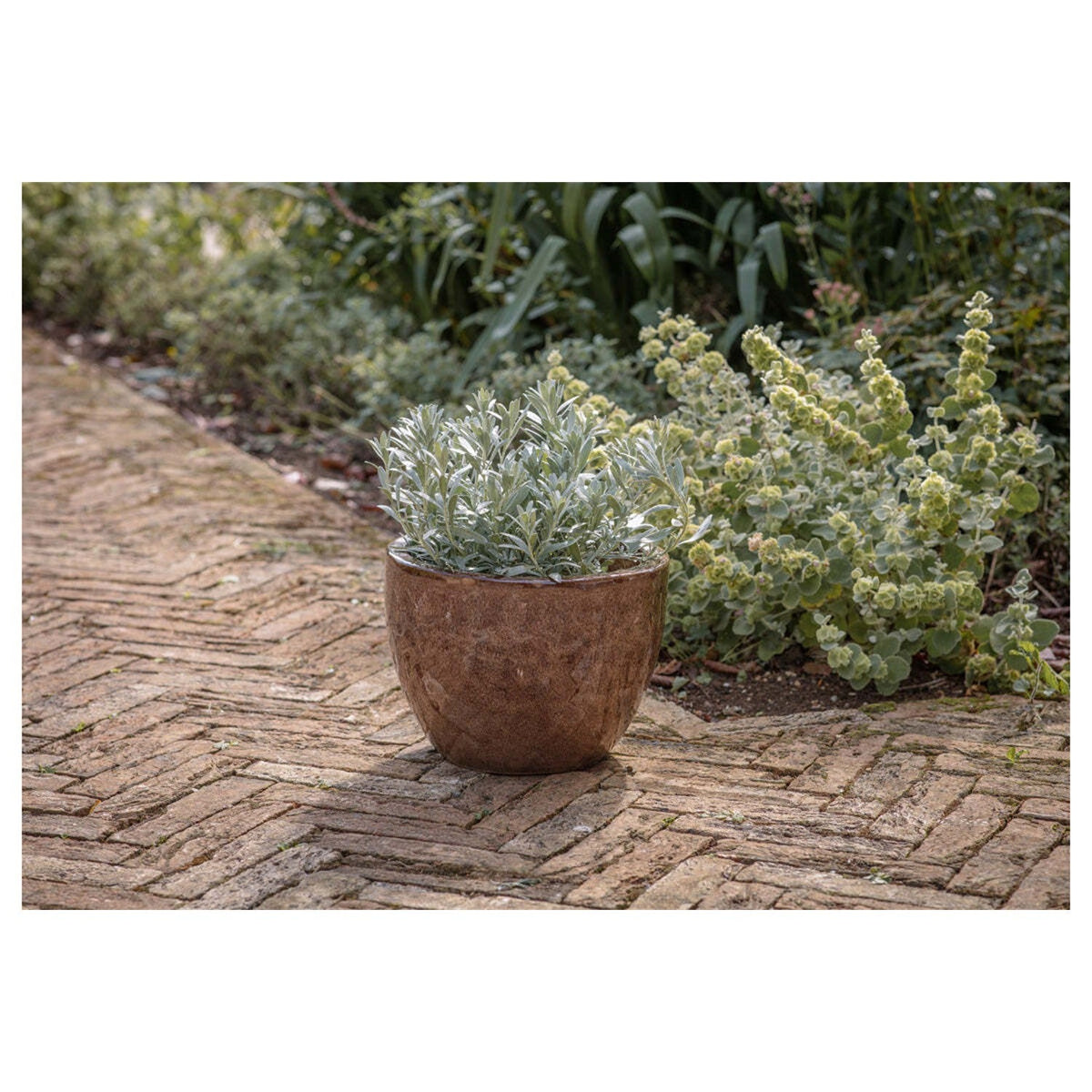 Dunai Medium Terracotta Planter - Brown